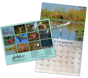 2024 Calendar - Birds Backcover and September Pages