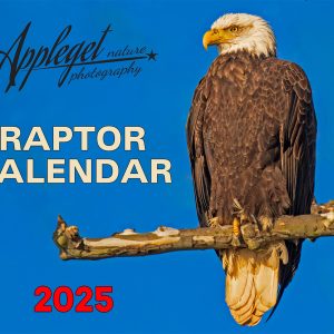 2025 Calendar Cover