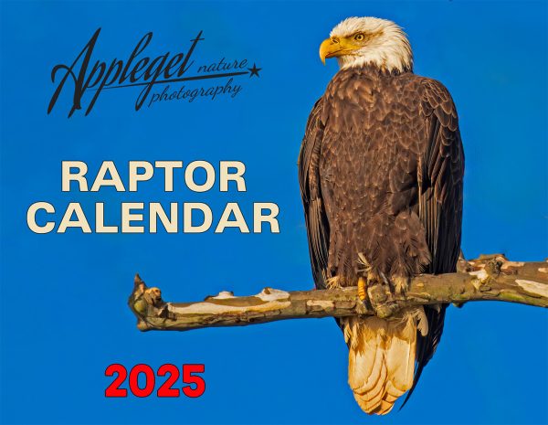 2025 Calendar Cover