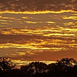 Golden Sunrise Merritt Island