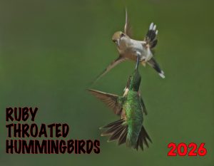 Front Cover Hummingbird calendar