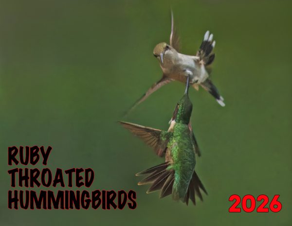 Front Cover Hummingbird calendar