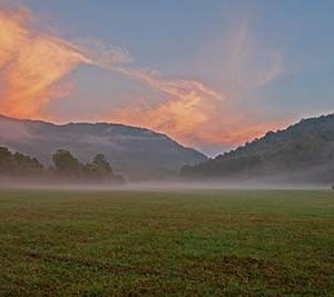 Sunrise Elk