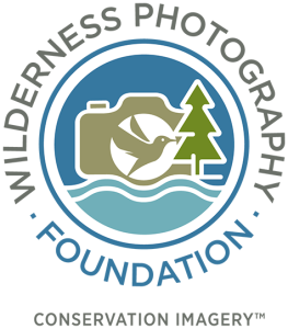 Wilderness Photography Foundation Logo Wilderness Photography Foundation Logo