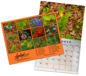 2027 Calendar composite