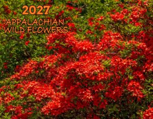 2027 Calendar Front