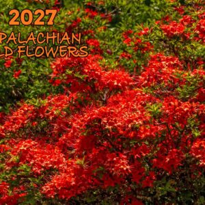 2027 Calendar Front